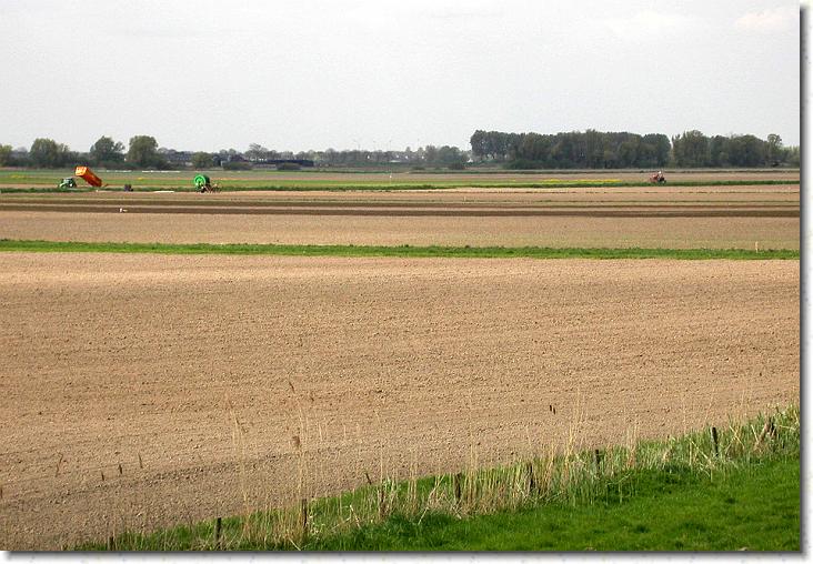 Næste billede